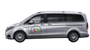 Untitled design - 2024-07-22T105017.172